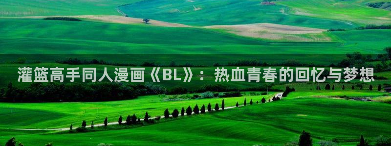 香蕉漫画免费观看入口：灌篮高手同人漫画《BL》：热血青春的回忆与梦想