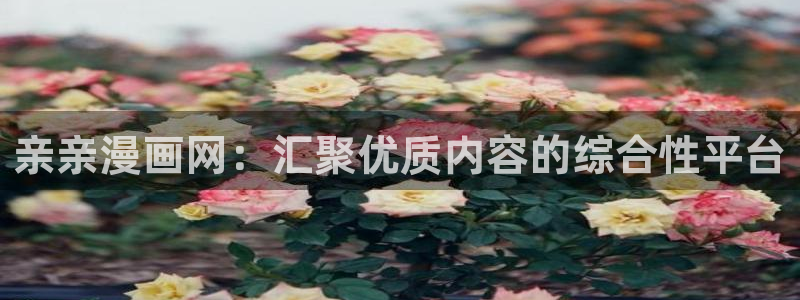 在线观看香蕉漫画：亲亲漫画网：汇聚优质内容的综合性平台